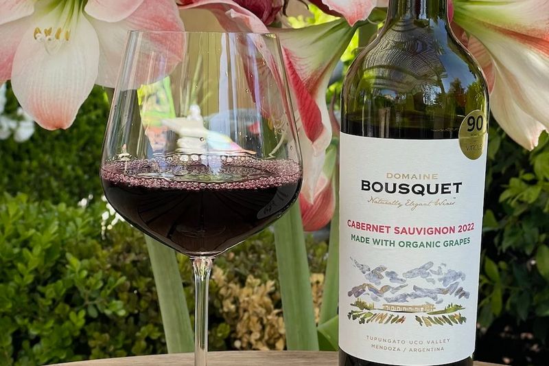 Le Domaine Bousquet Cabernet Sauvignon Valle de Uco 2023